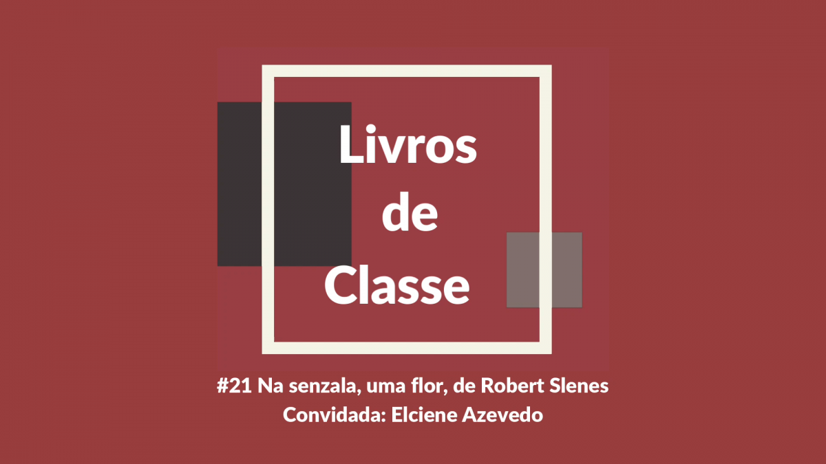 Livros de Classe #21: Na senzala, uma flor, de Robert Slenes, por Elciene Azevedo