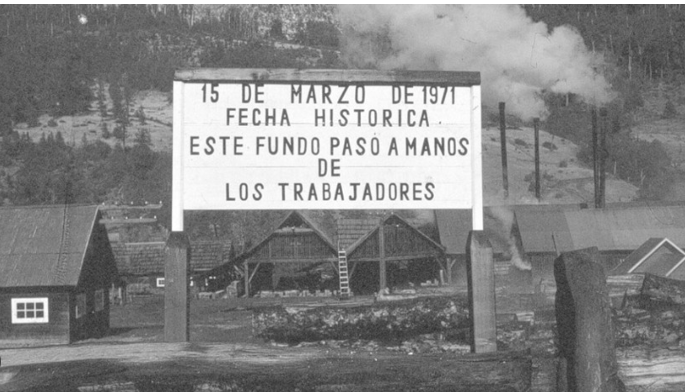 LMT #141: Complexo Florestal e Madeireiro Panguipulli (COFOMAP), Los Ríos, Chile – Robinson Silva Hidalgo